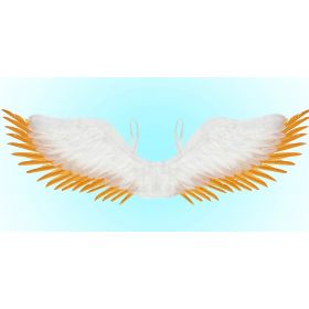 Αποκριάτικα Φτερά Πλάτης 100 x 25cm