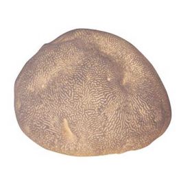 Φωτιστικό Κοράλι 29 × 39.5 × 37.3 cm