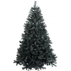 Χριστουγεννιάτικο Δέντρο Καυκασος 210(h)cm