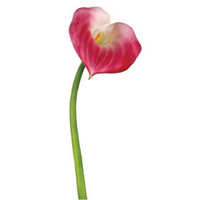 Μεταξωτό Λουλούδι Κάλλα Μεγάλη 98cm