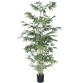 Διακοσμητικό Δέντρο Φυτό Μπαμπού Με 1400 Φύλλα Σε Πλαστική Γλάστρα 190cm